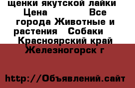 щенки якутской лайки › Цена ­ 15 000 - Все города Животные и растения » Собаки   . Красноярский край,Железногорск г.